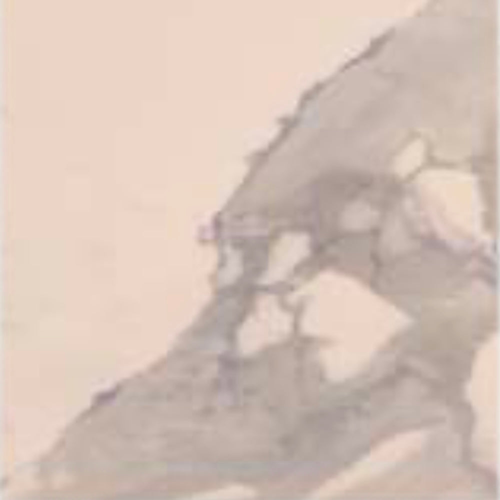 8199-G A Grade Discontinued Tile (33162)