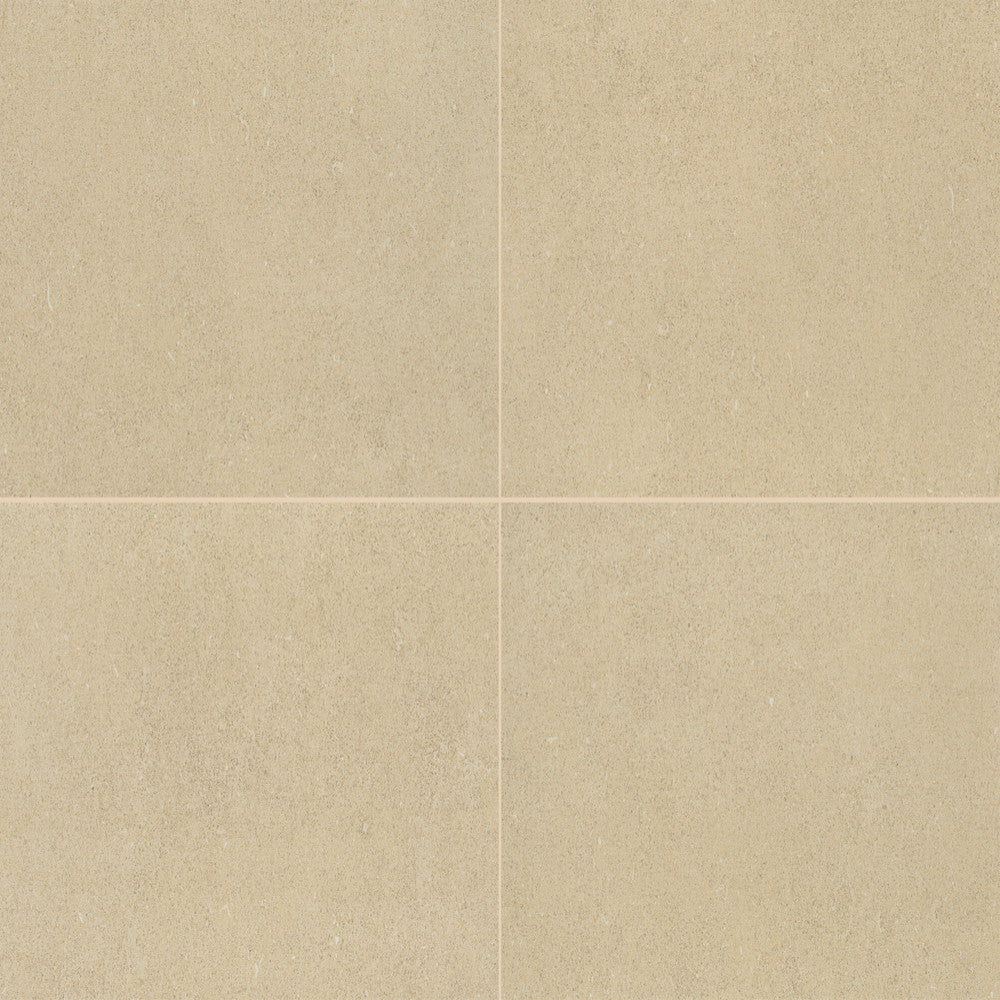 I487RCT1224MTJ2 12x24 Rectangular Tile